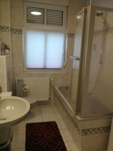a bathroom with a sink and a shower and a toilet at Lindenblüte in Seehausen