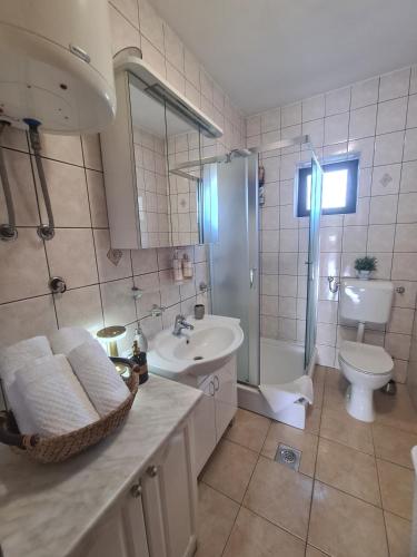 a bathroom with a sink and a toilet and a shower at Kuća za odmor Virgo in Opanci