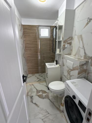 a bathroom with a toilet and a sink at Caro Central Apartament 3 Camere in Râmnicu Vâlcea