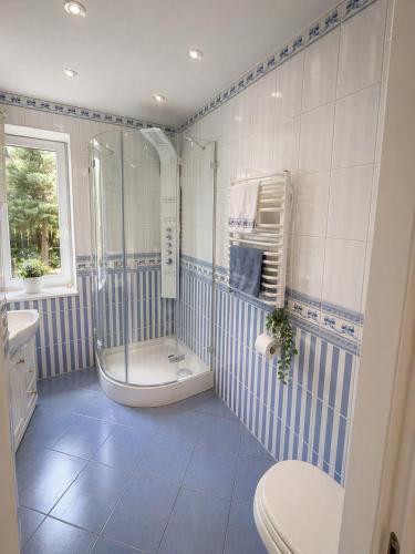 a blue and white bathroom with a shower and a toilet at Prestige Garden Villa - Cracow in Krakow