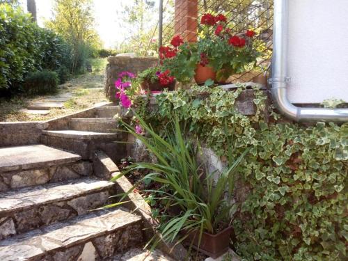 a set of stone stairs with flowers and plants at Studio apartman Bari in Buzet