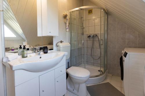 a bathroom with a sink and a shower and a toilet at Sári Apartman in Balatonalmádi