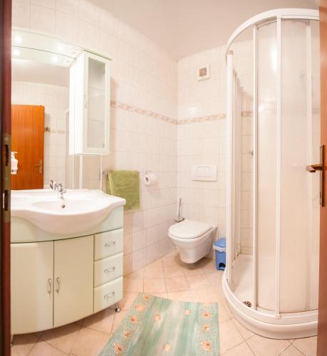 a bathroom with a sink and a shower and a toilet at Apartments Lovec in Cerkno