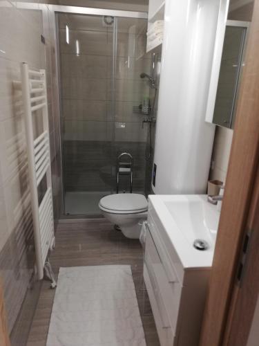 a bathroom with a toilet and a shower and a sink at Apartma Dečko Rogaška in Rogaška Slatina