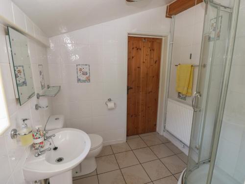 a bathroom with a sink and a toilet and a shower at Daffodil Cottage in Treorky