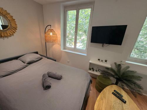 Charmant studio tout équipé au cœur de la ville - 452