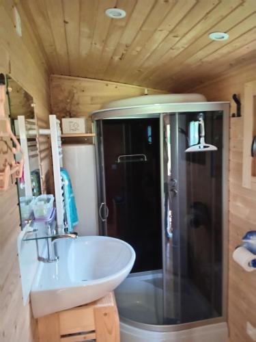 a bathroom with a sink and a shower at Roulotte Anaîs in Grandcourt