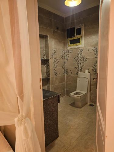a bathroom with a toilet and a sink at Dahshur Pyramids View Inn in Giza