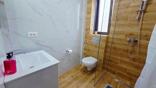 a bathroom with a shower and a toilet and a sink at Srebrna Jela in Žabljak