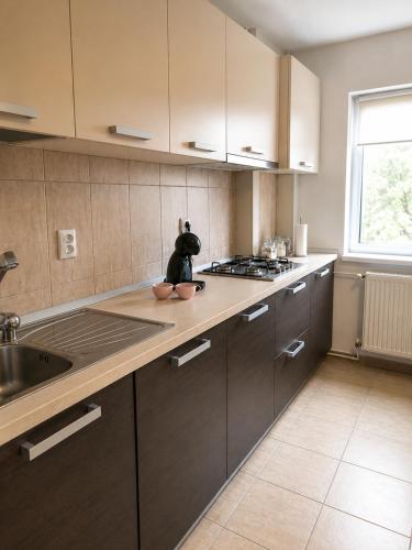a kitchen with brown cabinets and a sink and a stove at Adrian Home Libra in Ploieşti