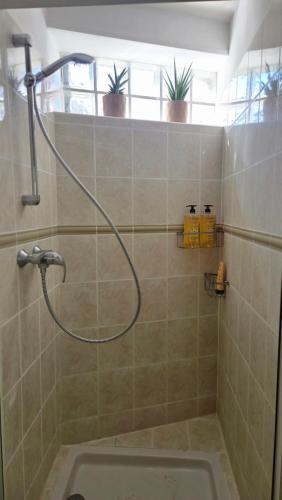 a shower with a hose in a bathroom at Casa del Castel in Dreux