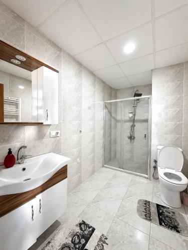a bathroom with a toilet and a sink and a shower at Bolu novara suit in Bolu