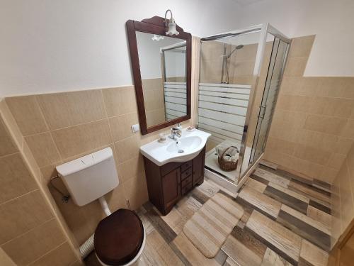 a bathroom with a sink and a mirror and a toilet at Casa Oaspeti Transfagarasan in Cârțișoara