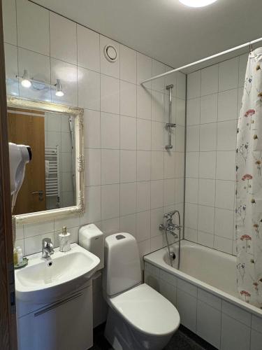 a bathroom with a sink and a toilet and a tub at Hótel Húsavík in Húsavík