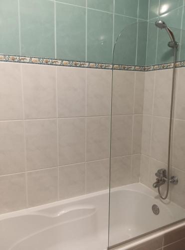 a shower with a glass door next to a tub at Casa Afonso Guesthouse in Ferrel