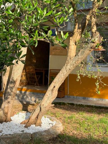 VIN&CO Boutique House, fenced yard with parking space, pet friendly