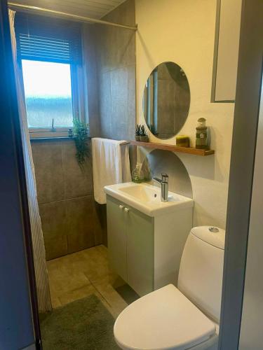 a bathroom with a toilet and a sink and a mirror at Sommerhuset i Saltum in Saltum