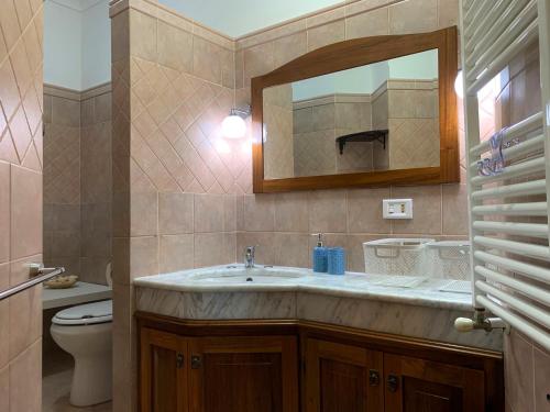 a bathroom with a sink and a mirror and a toilet at Il Giardino del Belvedere in Barrafranca