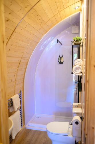 a bathroom with a white toilet and a shower at Shenstone Lodge in Kidderminster