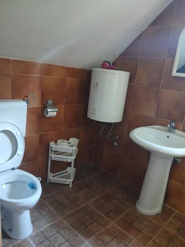 a bathroom with a toilet and a sink at Hidden Nest For Two in Herceg-Novi