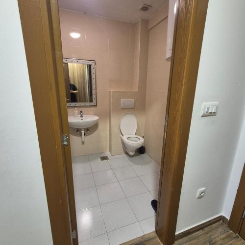 a bathroom with a toilet and a sink at Apartmani Han in Bijelo Polje