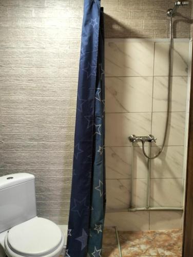 a bathroom with a toilet and a shower at Krainya hata in Melʼniki