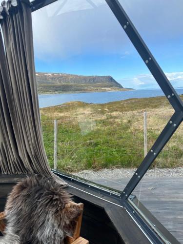 a cat sitting in a window looking out at the ocean at Glassiglo for 2 in Russenes