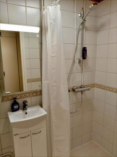 a bathroom with a shower curtain and a sink at Gallen-Kallelankatu 9 in Pori
