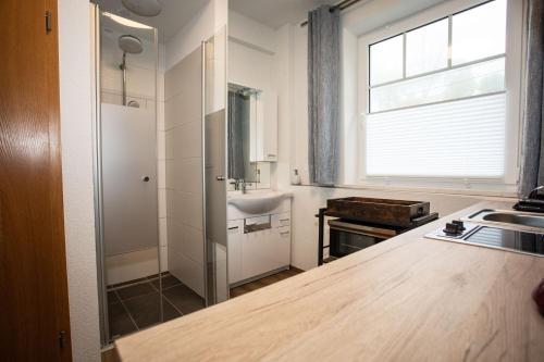 a small kitchen with a sink and a sink at Haus Weisl in Erlsberg