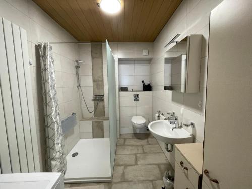 ein Badezimmer mit Dusche, Toilette und Waschbecken in der Unterkunft Kleegarten in Eppelborn