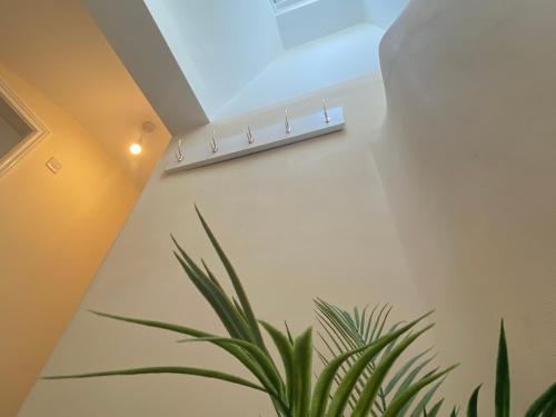 a plant in a room with a skylight at Spa View Apartments in Ripon