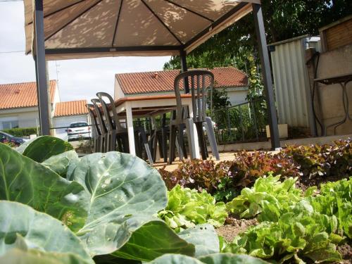 un jardín con sillas, mesa y col en Gîte Beaupel, en Neuvy-en-Mauges