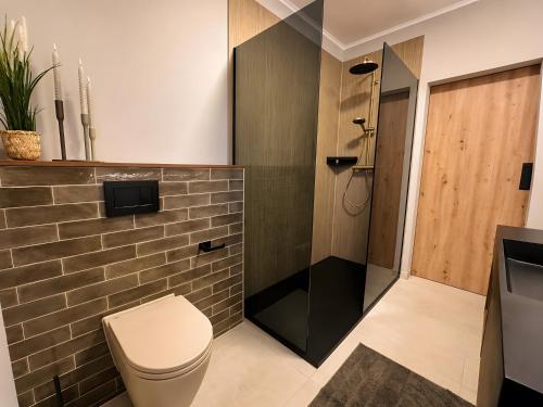 a bathroom with a toilet and a shower at Ferienwohnung Marina in Wiesmoor