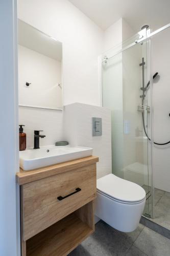a bathroom with a sink and a toilet and a shower at Magdalena in Karwia