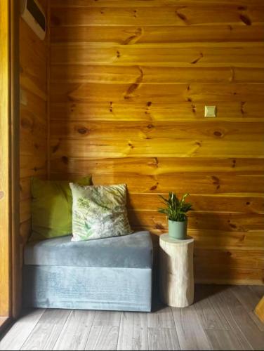 a couch in a room with a wooden wall at Hygge in Brenno