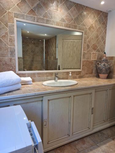 a bathroom with a sink and a large mirror at Gîte Acellu in Bonifacio
