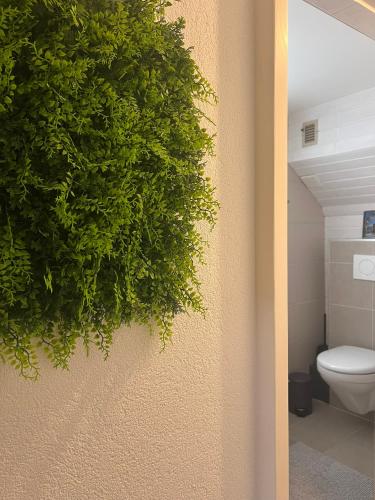 a bathroom with a toilet and a plant on the wall at Himalayan vibes in Icogne