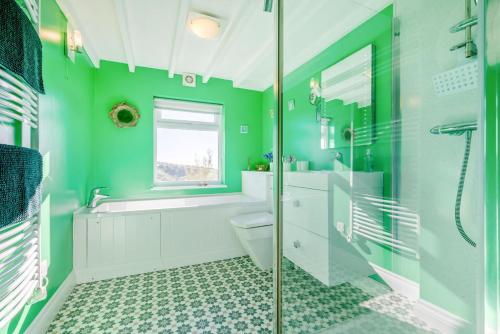 a green bathroom with a toilet and a shower at 4 Bed in Tintagel oc-trev in Treknow