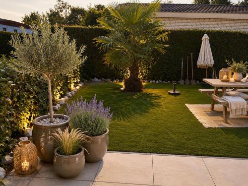 a garden with a table and palm trees and a lawn at ViVe in Putten