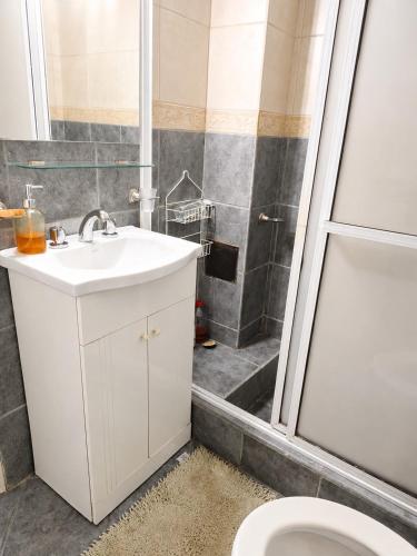 a bathroom with a toilet and a sink and a shower at Barrio Aeropuerto depto 2 dormitorios en Río Grande in Río Grande
