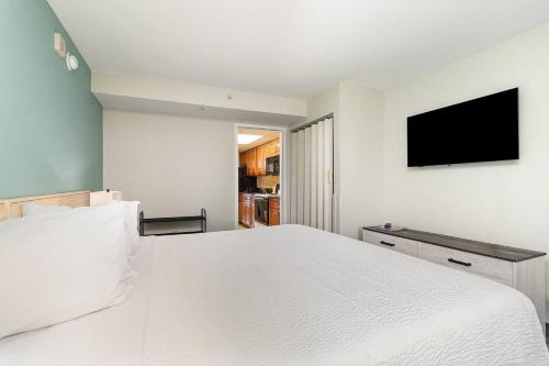 Oceanfront 1BR at Landmark, King Bed, Full Kitchen, Smart TVs photo 21