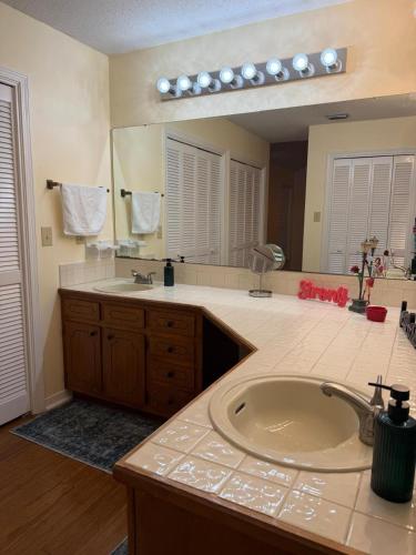 a bathroom with a sink and a large mirror at WildFlower Inn in Satsuma