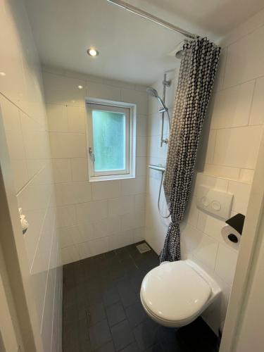 a bathroom with a toilet and a window at B&Beach Zandvoort in Zandvoort