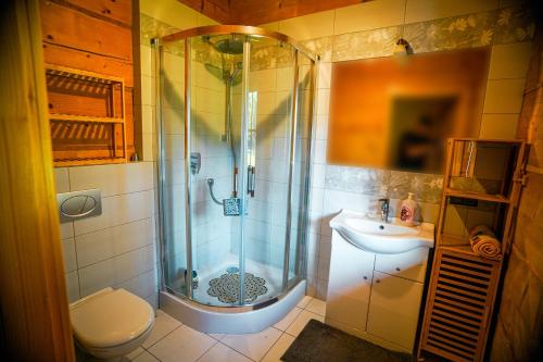 a bathroom with a shower and a sink and a toilet at Leśna Oaza in Sierpc