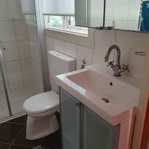 a bathroom with a sink and a toilet and a mirror at Kleine Auszeit am Twistesee in Bad Arolsen