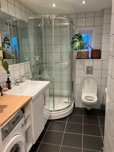a bathroom with a shower and a toilet and a sink at Bright and central apartment in Stavanger