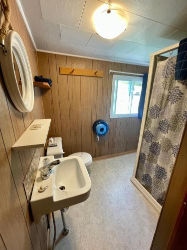 a bathroom with a sink and a shower at Chalets Camping Bernatchez in Mont-saint-pierre