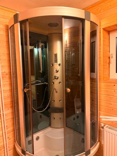 a shower with a glass door in a bathroom at Casa Cosmin in Dobra