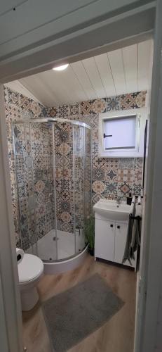 a bathroom with a shower and a toilet and a sink at Domek ASIA in Wronka