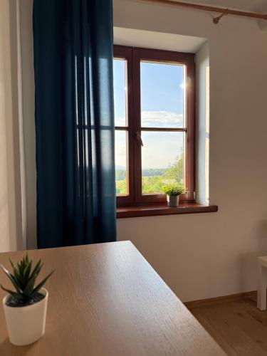 a room with a table and a window at Pod Kasztanami in Międzylesie